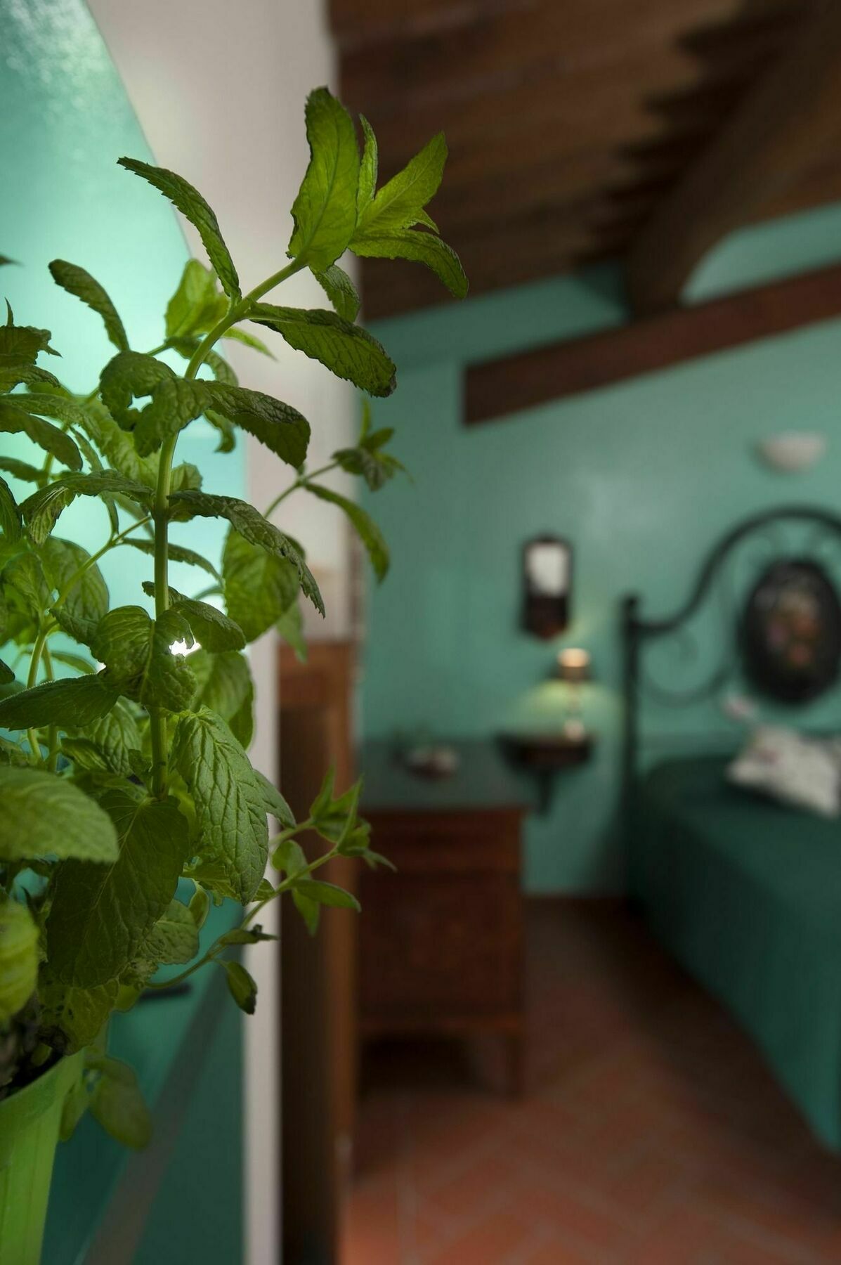 Bed and Breakfast Antico Granaione Раполано-Терме Экстерьер фото